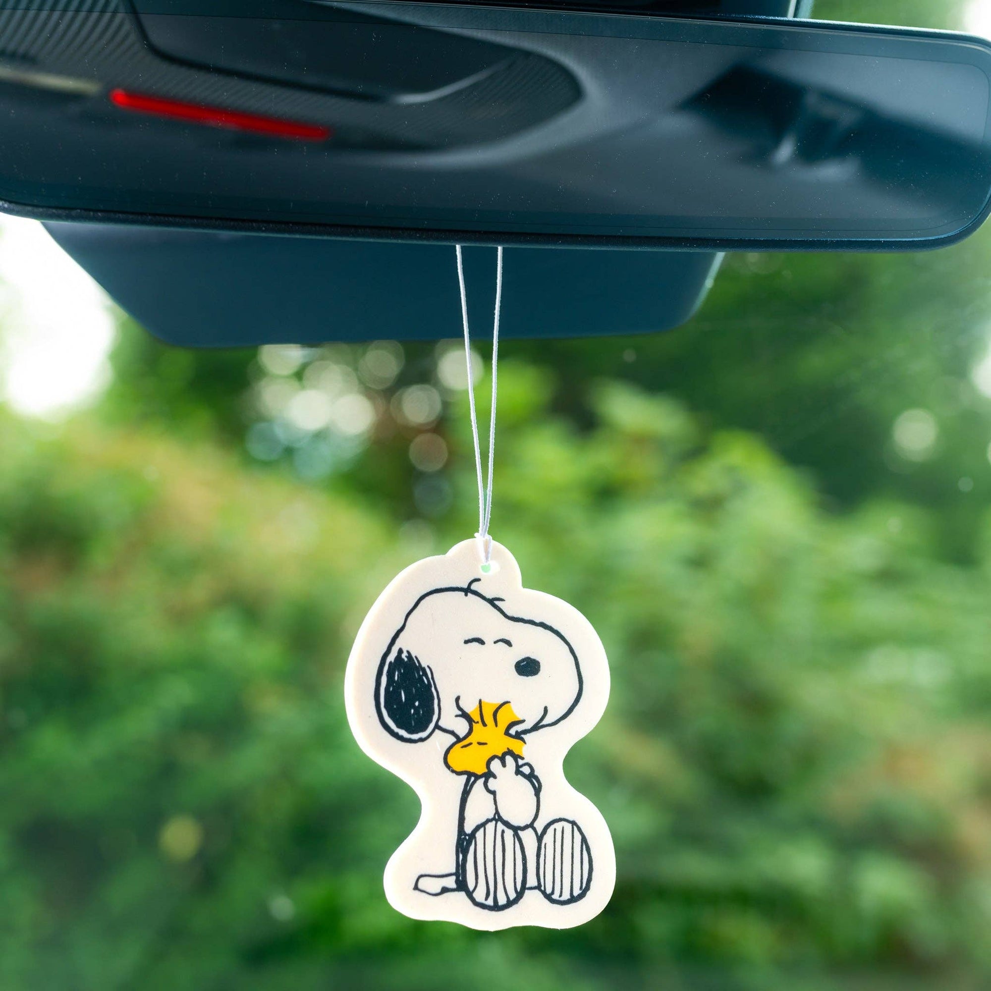 Peanuts Air Freshener Hugs by Magpie, styled shot