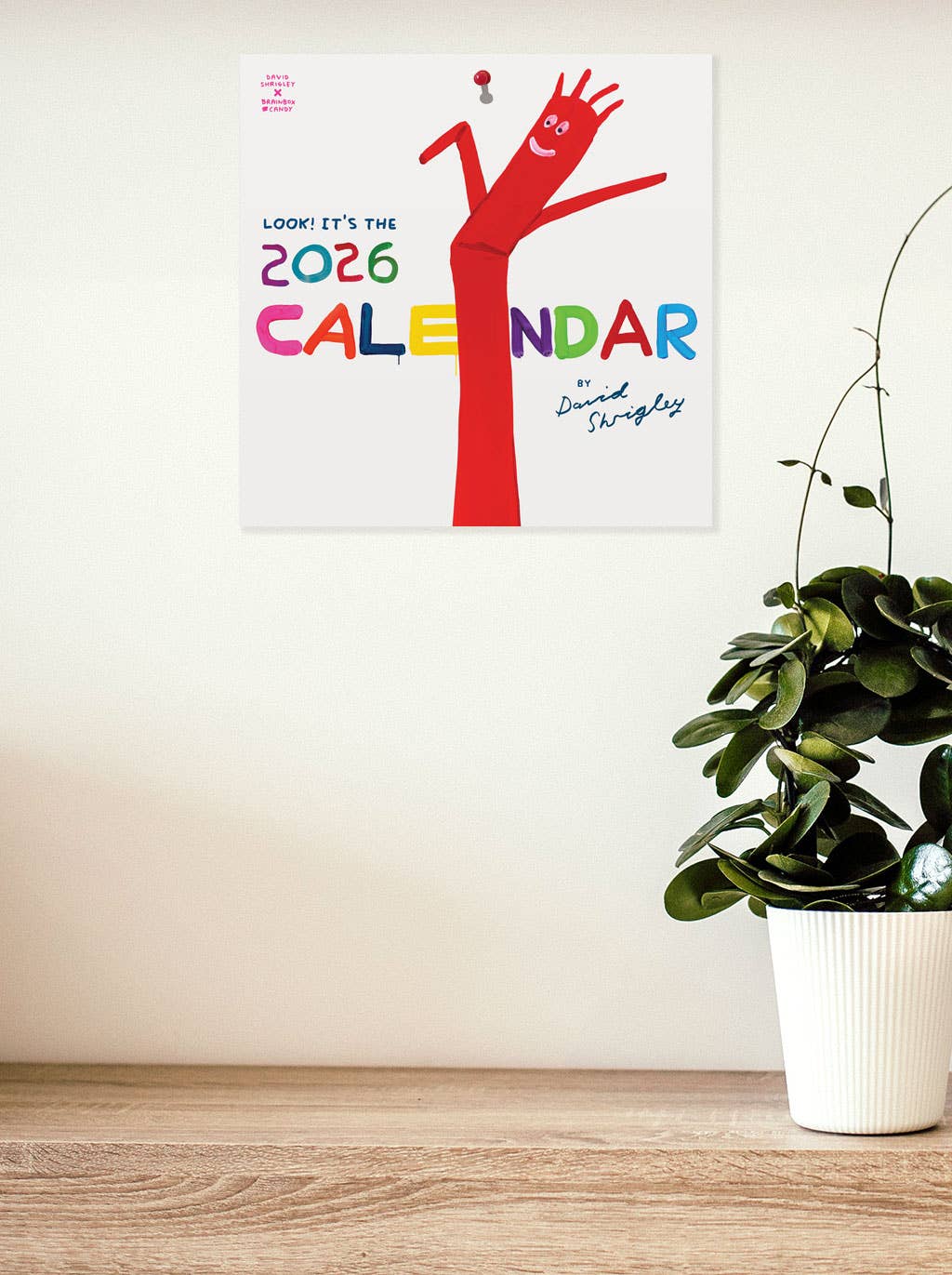 David Shrigley Official 2026 Wall Calendar