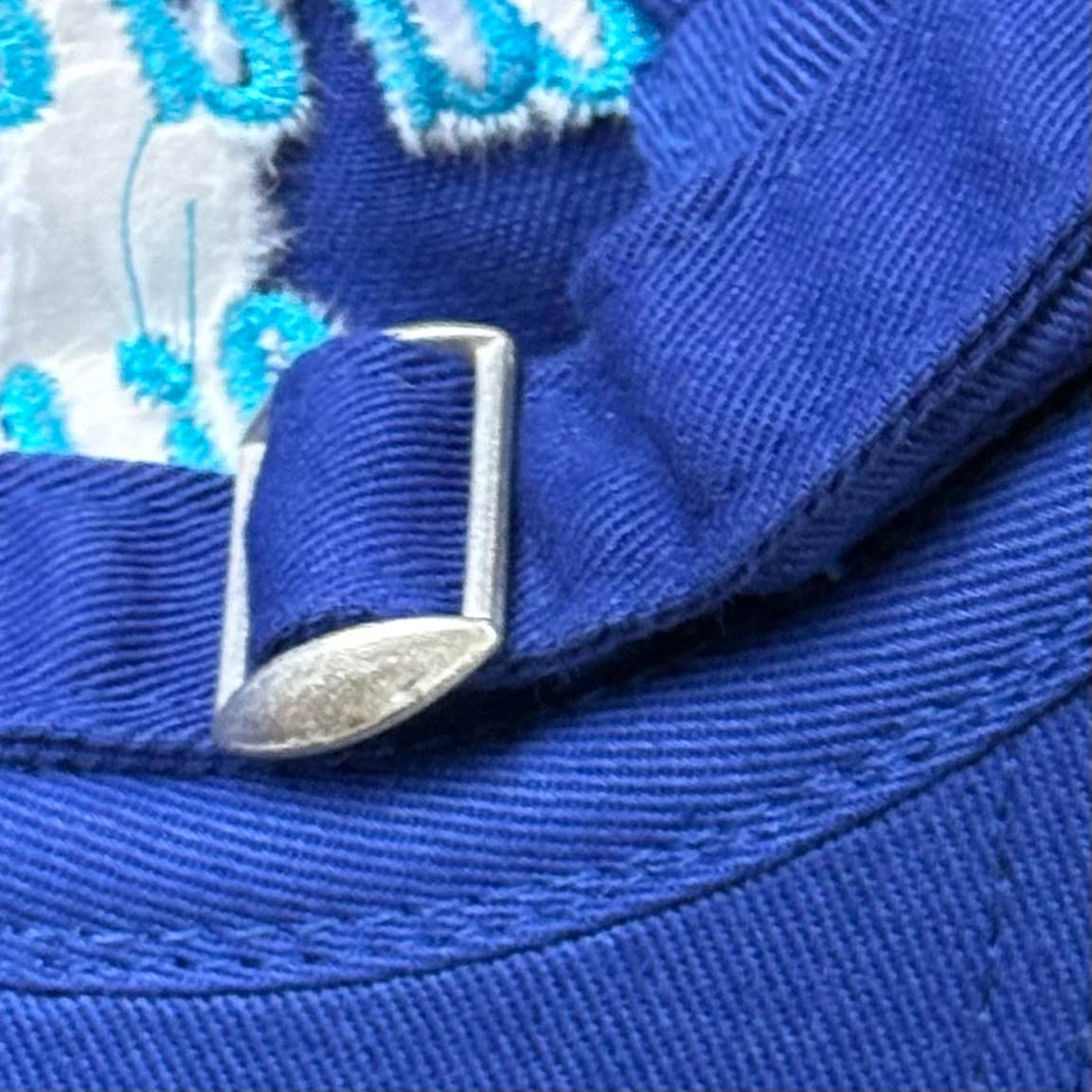 Tinned Fish foodie Baseball Cap Dad Hat