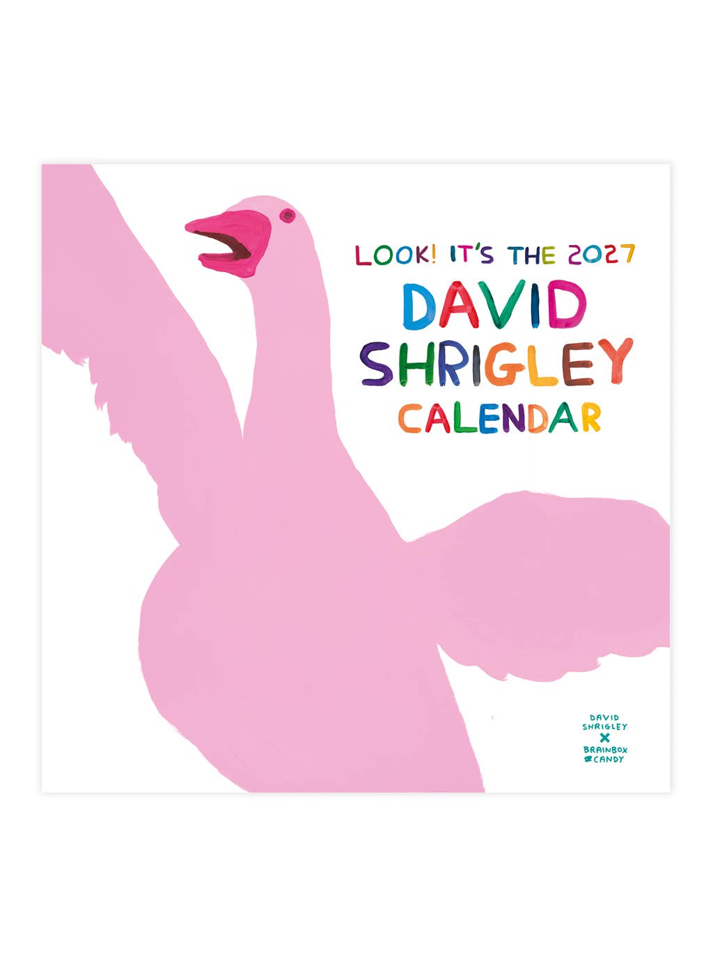 David Shrigley Official and Exclusive 2027 Wall Calendar