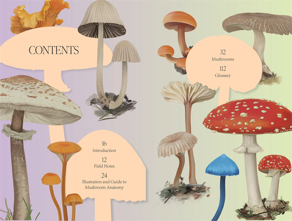 Mushroom Magic Book