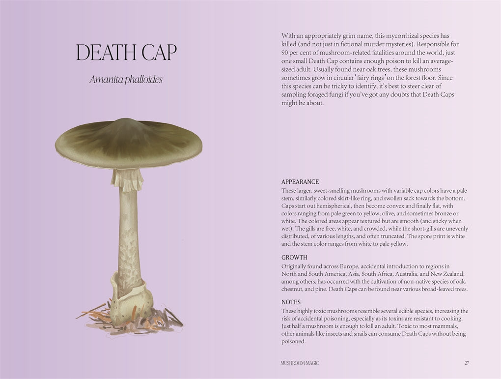 Mushroom Magic Book