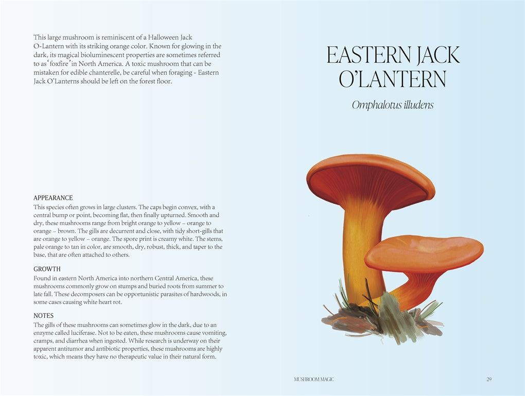 Mushroom Magic Book