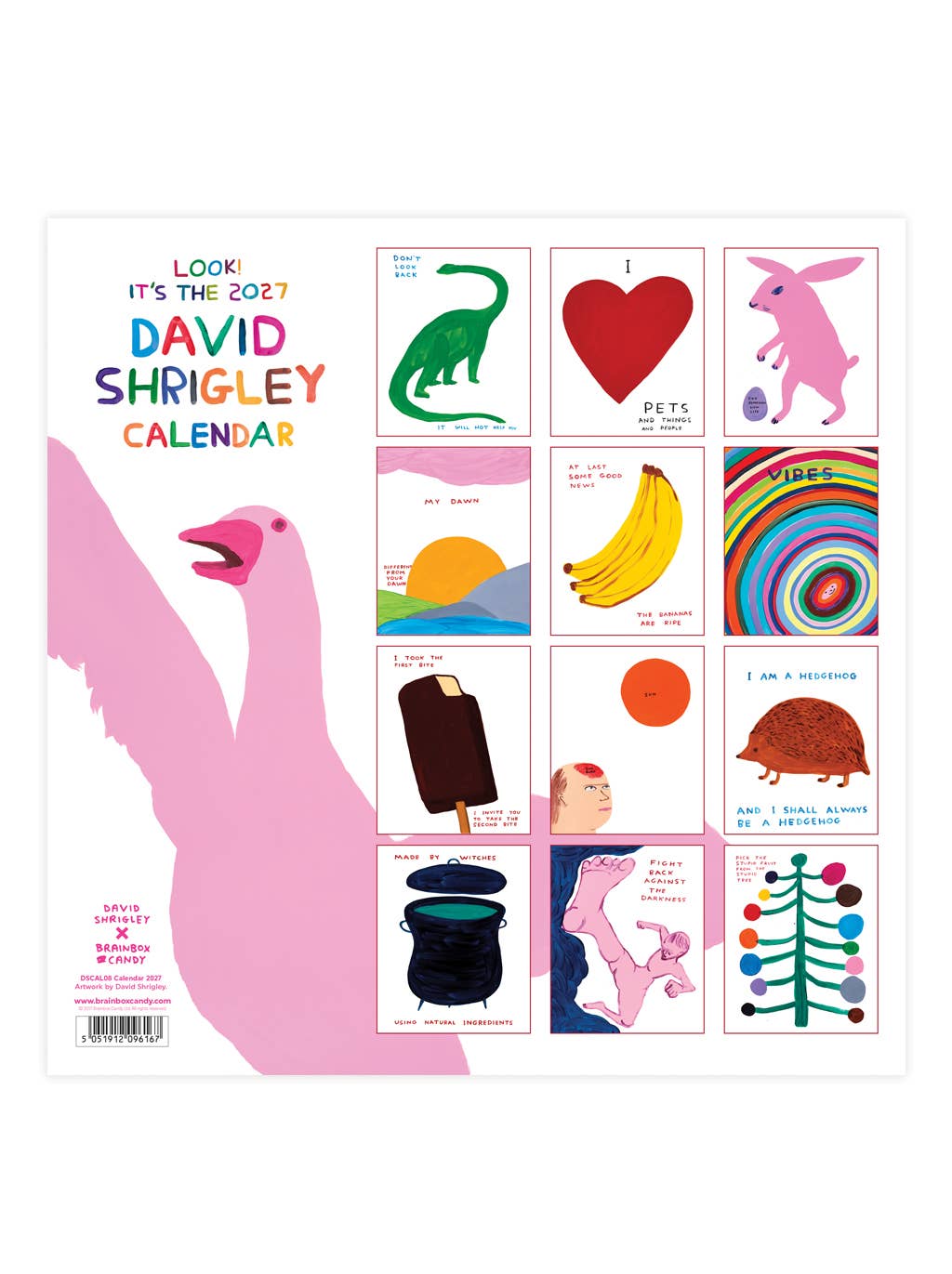 David Shrigley Official and Exclusive 2027 Wall Calendar