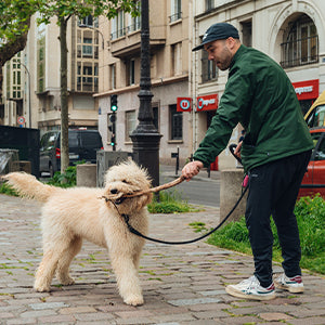 Dogs Best Friend - A portrait of an unbreakable bond