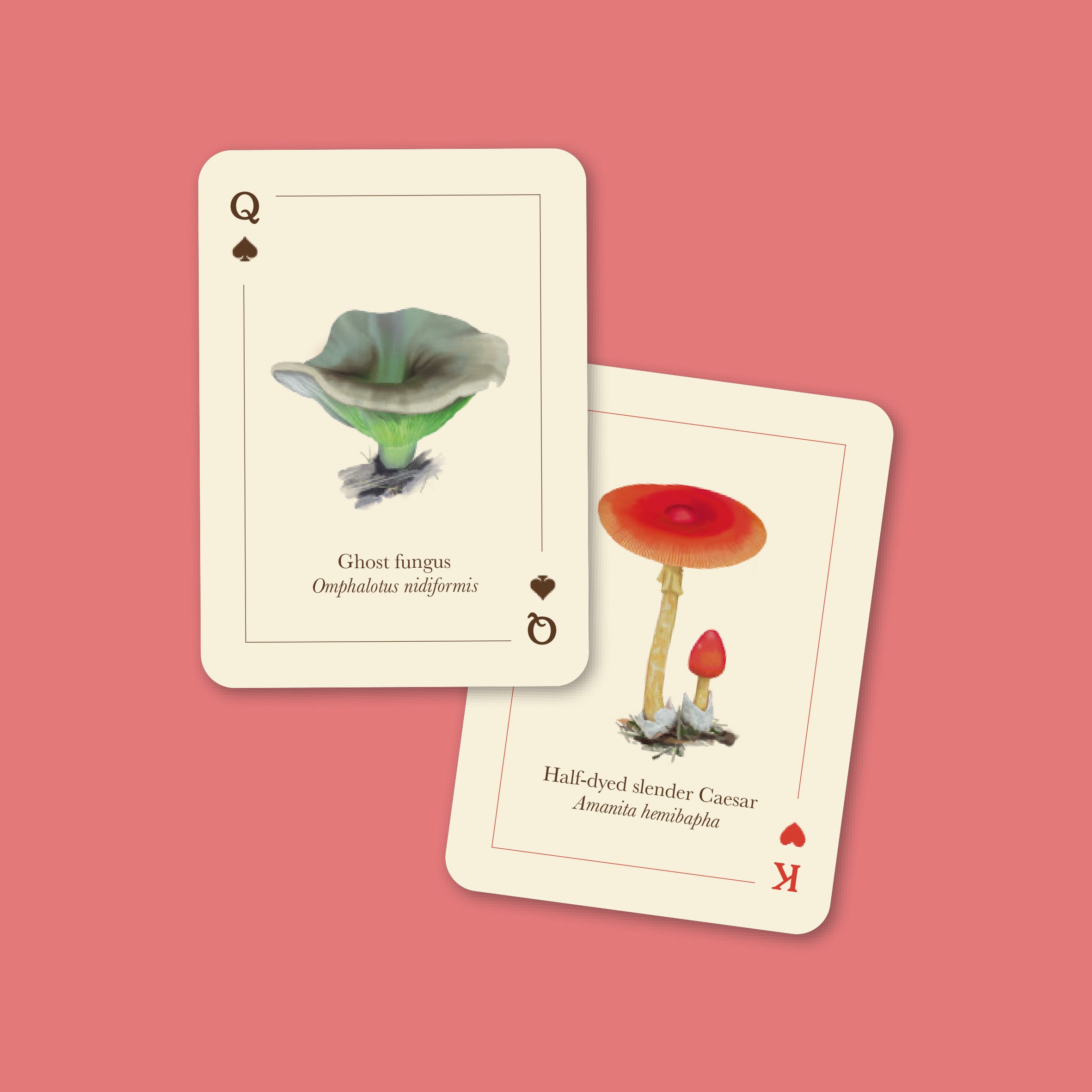 Mushrooms of the Wild - 54 playing cards