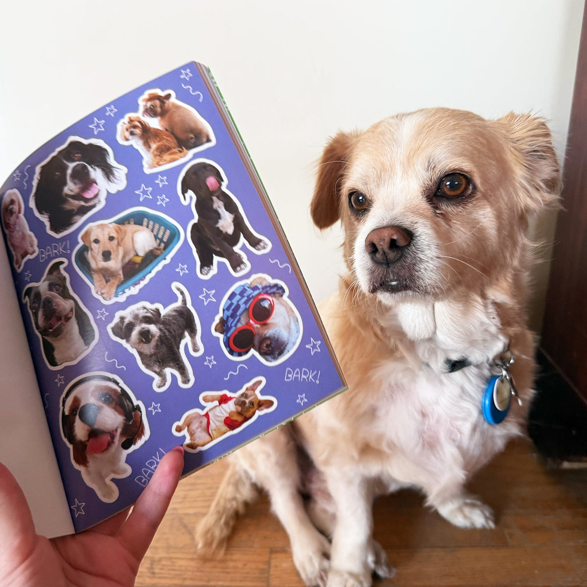 Dog-gone Adorable Dog Sticker Book, lifestyle photo 5