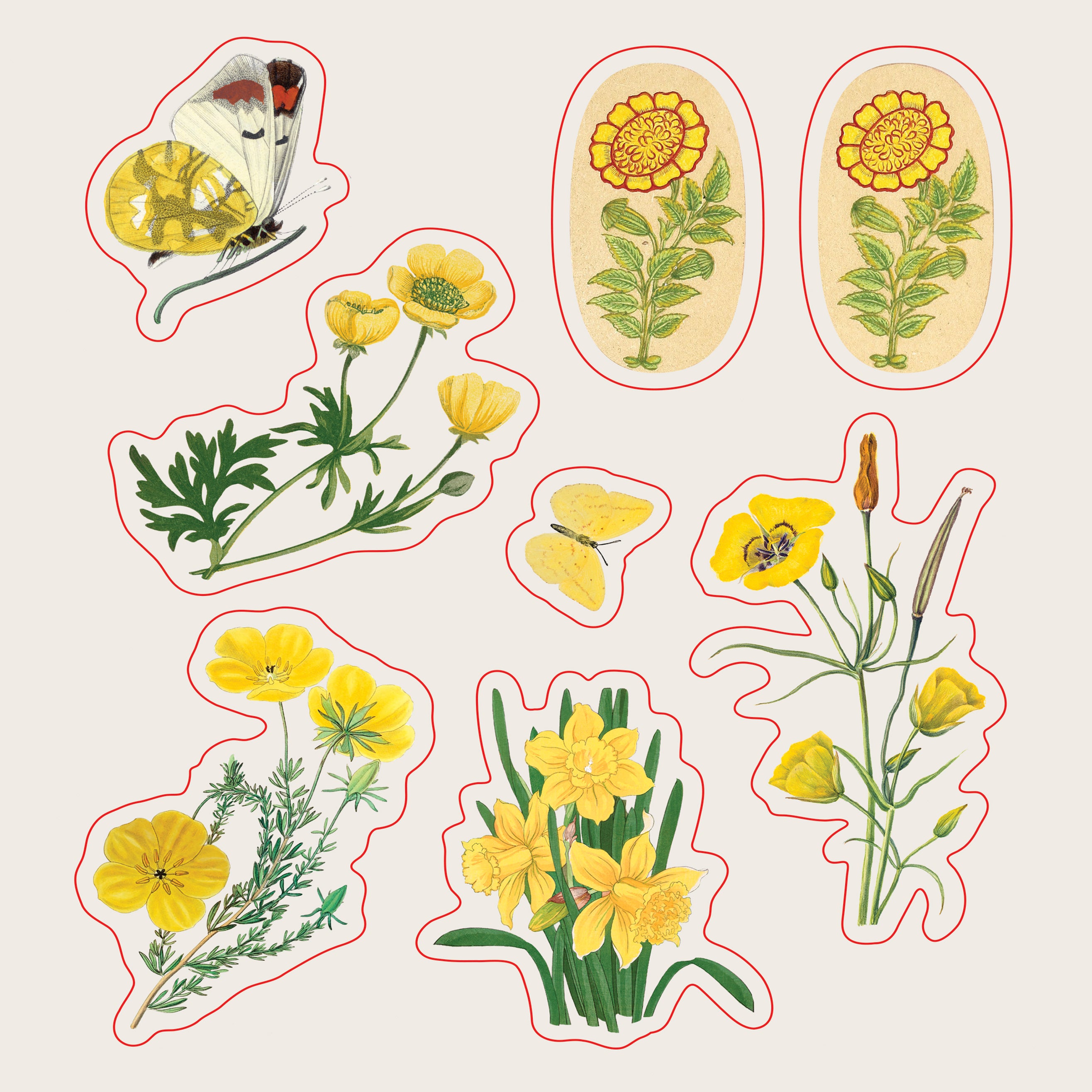 The Sticker Treasury of Blooms and Butterflies