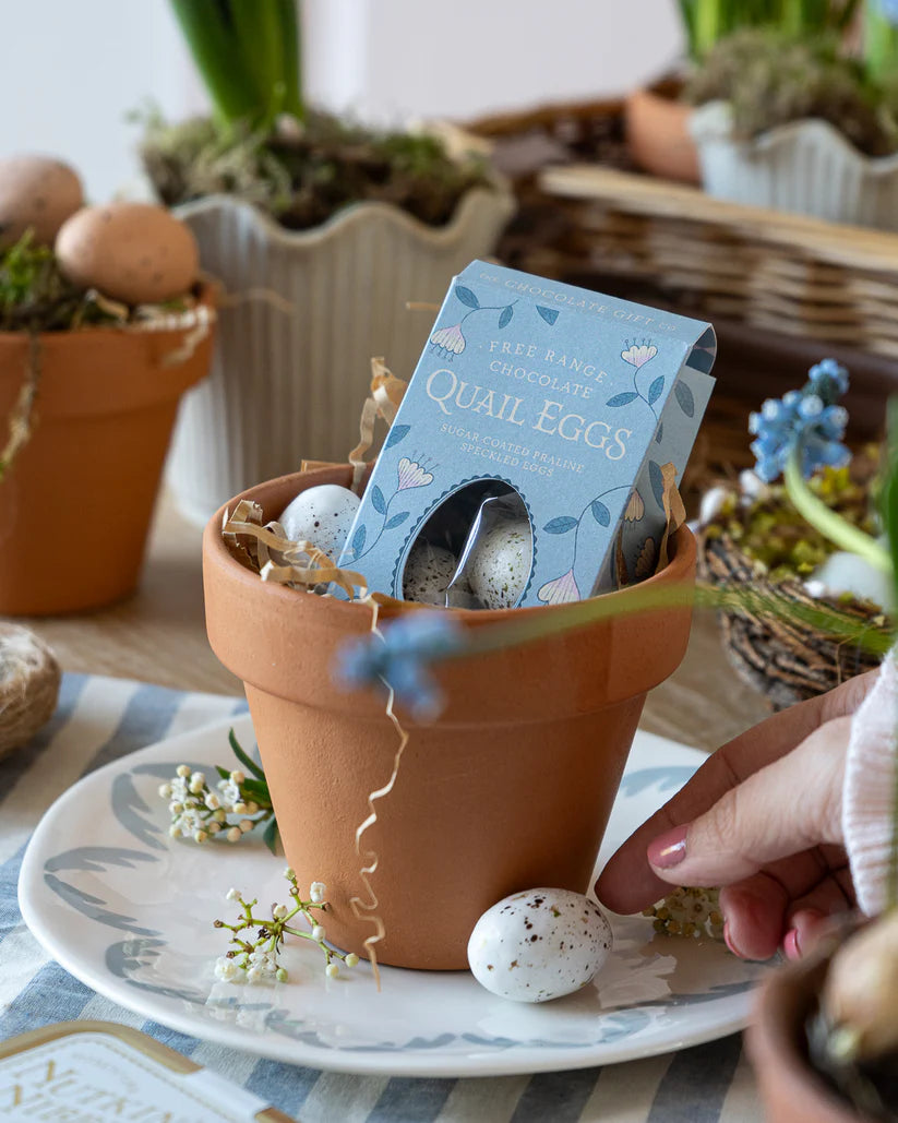 Praline Quails Eggs  | Chocolate Gift Company