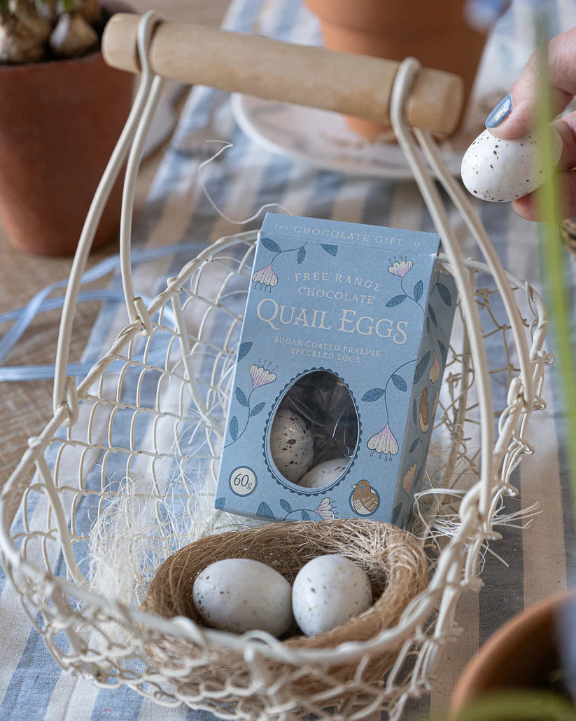Praline Quails Eggs  | Chocolate Gift Company