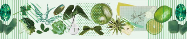 Washi Tape - Colour Series - Green - 20mm stationery 