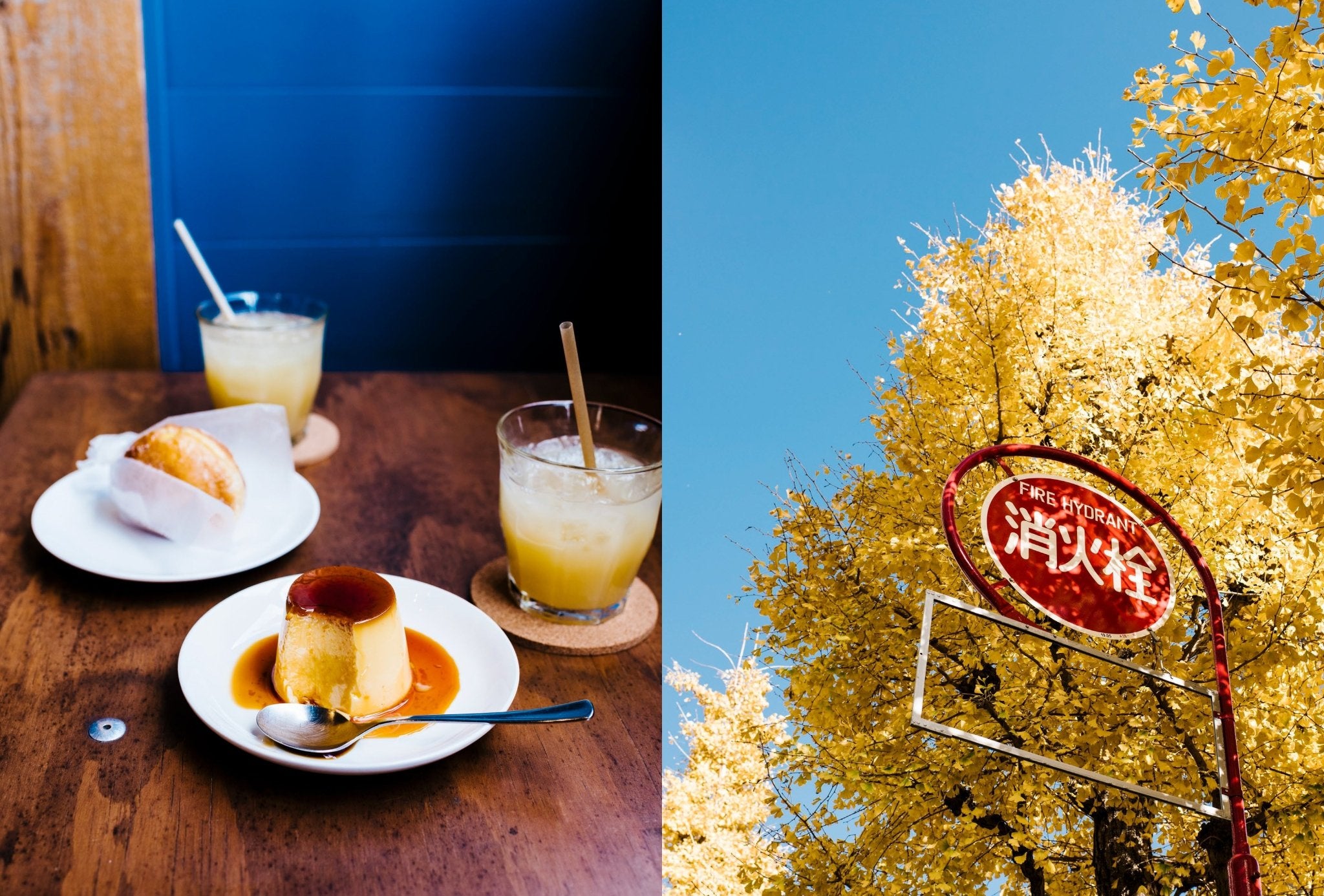 A Day in Tokyo: A Japanese Cookbook - Books Thames & Hudson Modern Love Store Glasgow