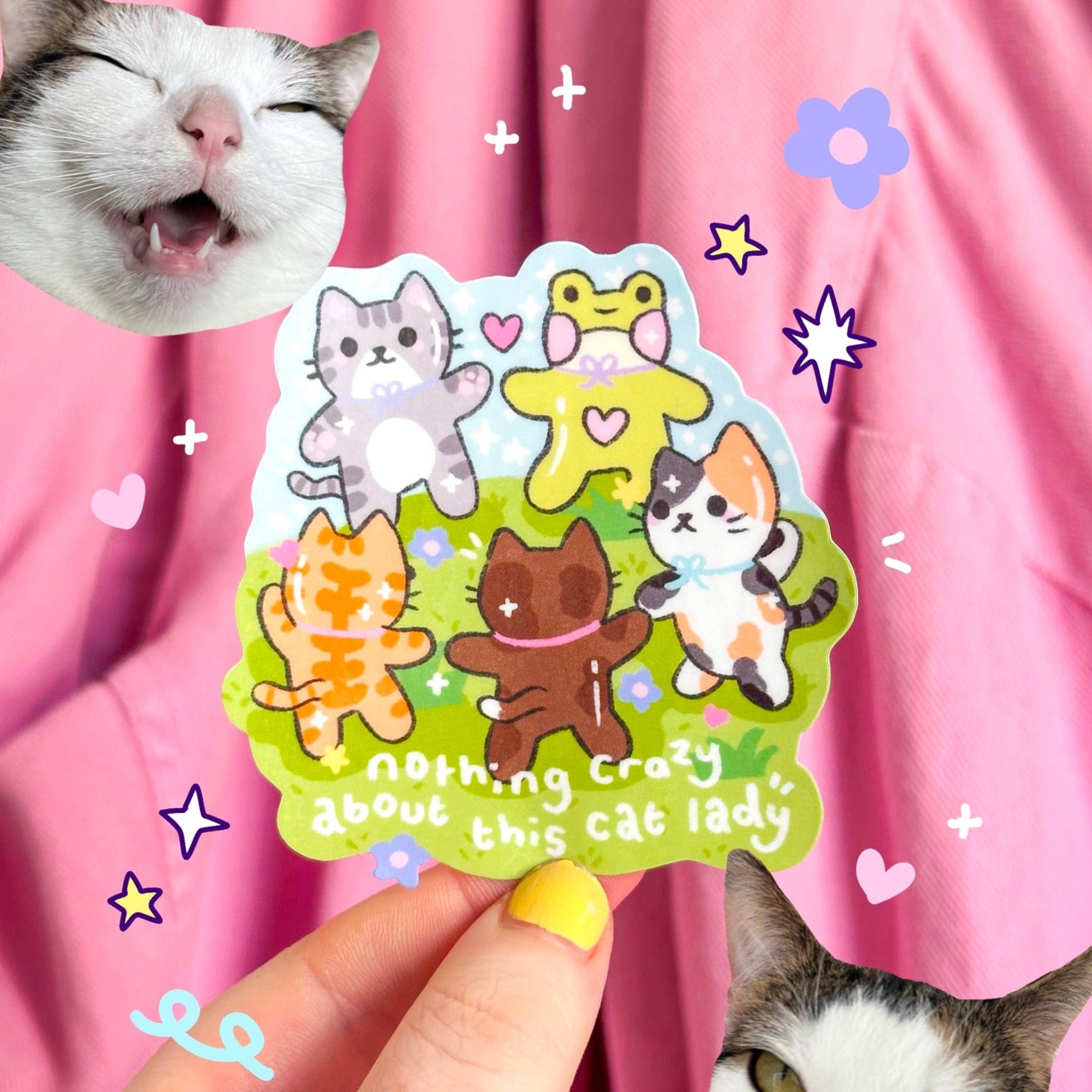 Crazy Cat Lady Sticker