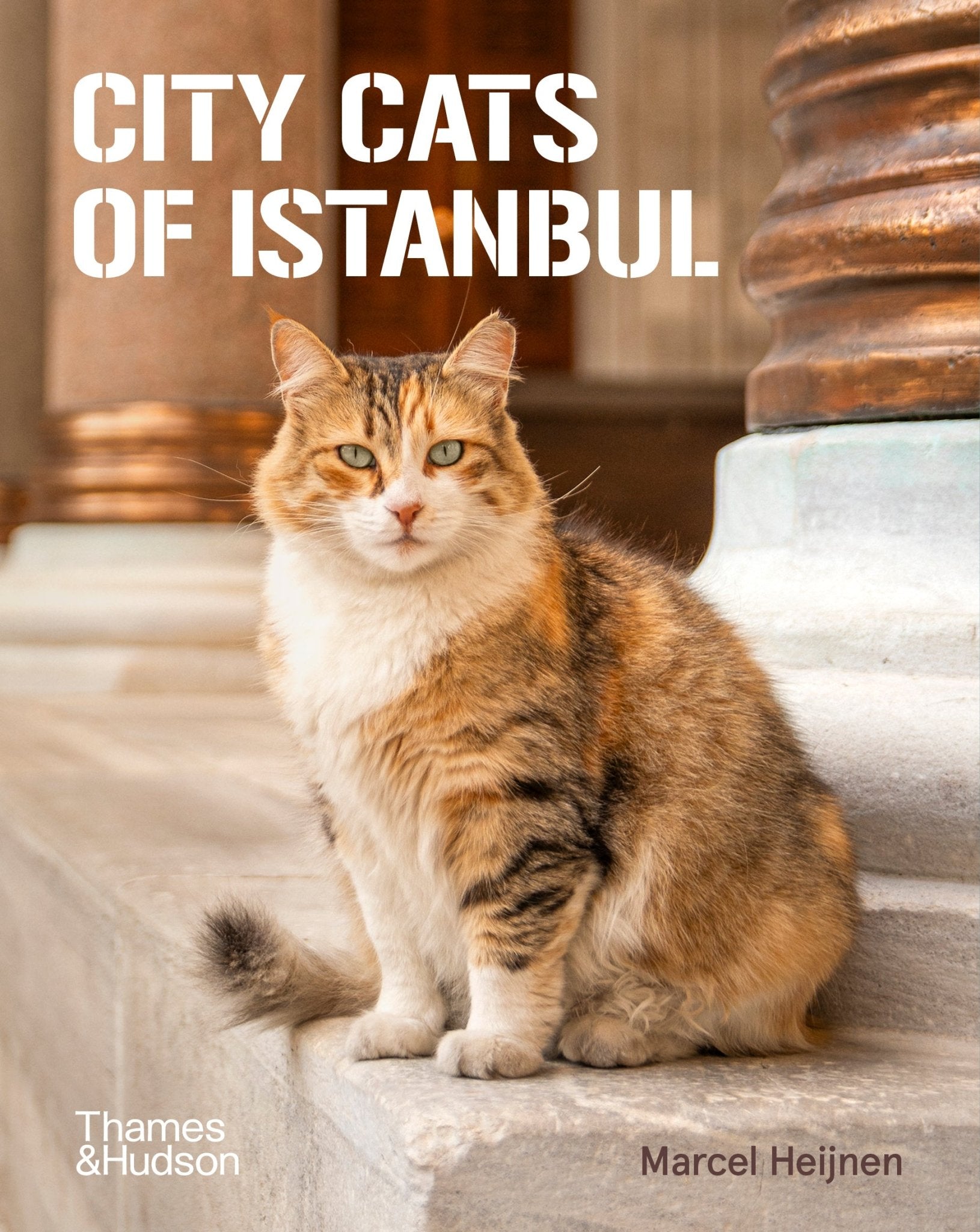 City Cats of Istanbul - Books Thames & Hudson Modern Love Store Glasgow
