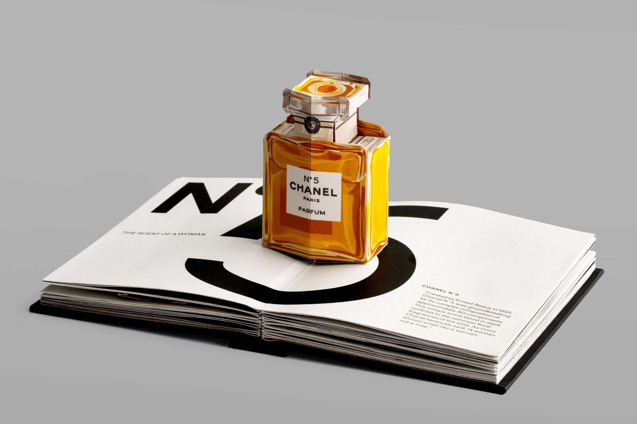 Fashion Unfolded Chanel - Books Thames & Hudson Modern Love Store Glasgow