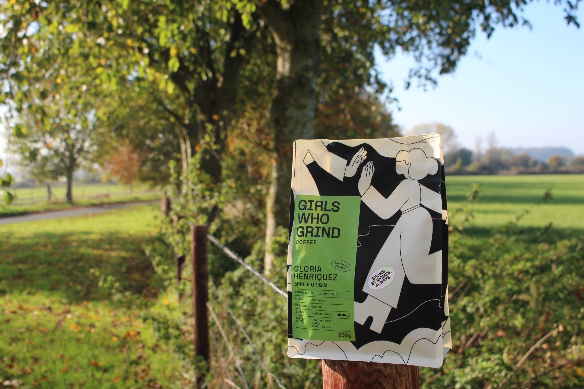 Coffee beans, Gloria Henriquez, Honduras.: French Press / 250g - Girls Who Grind Coffee Modern Love Store Glasgow