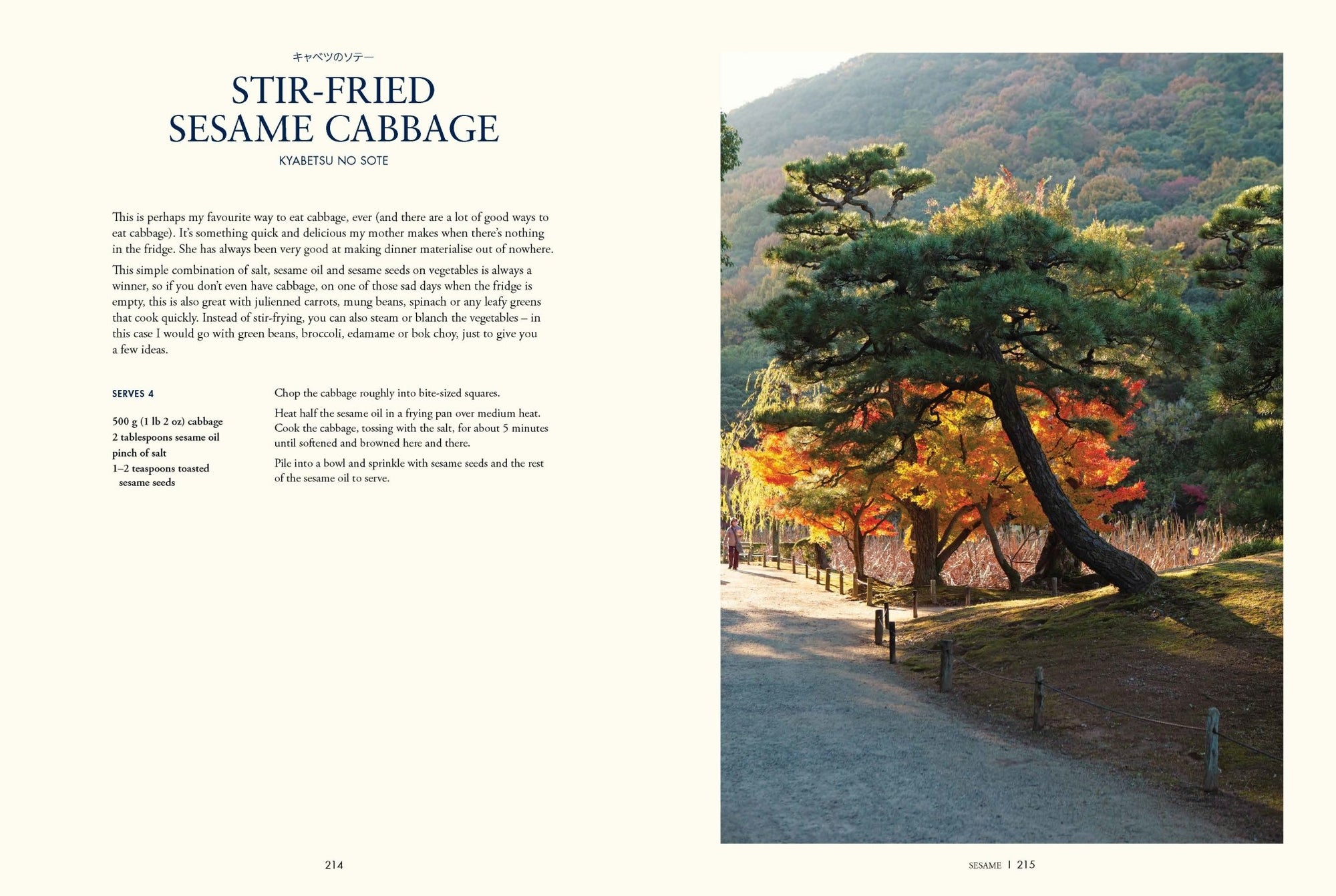 The Japanese Pantry - cookbook Thames & Hudson Modern Love Store Glasgow