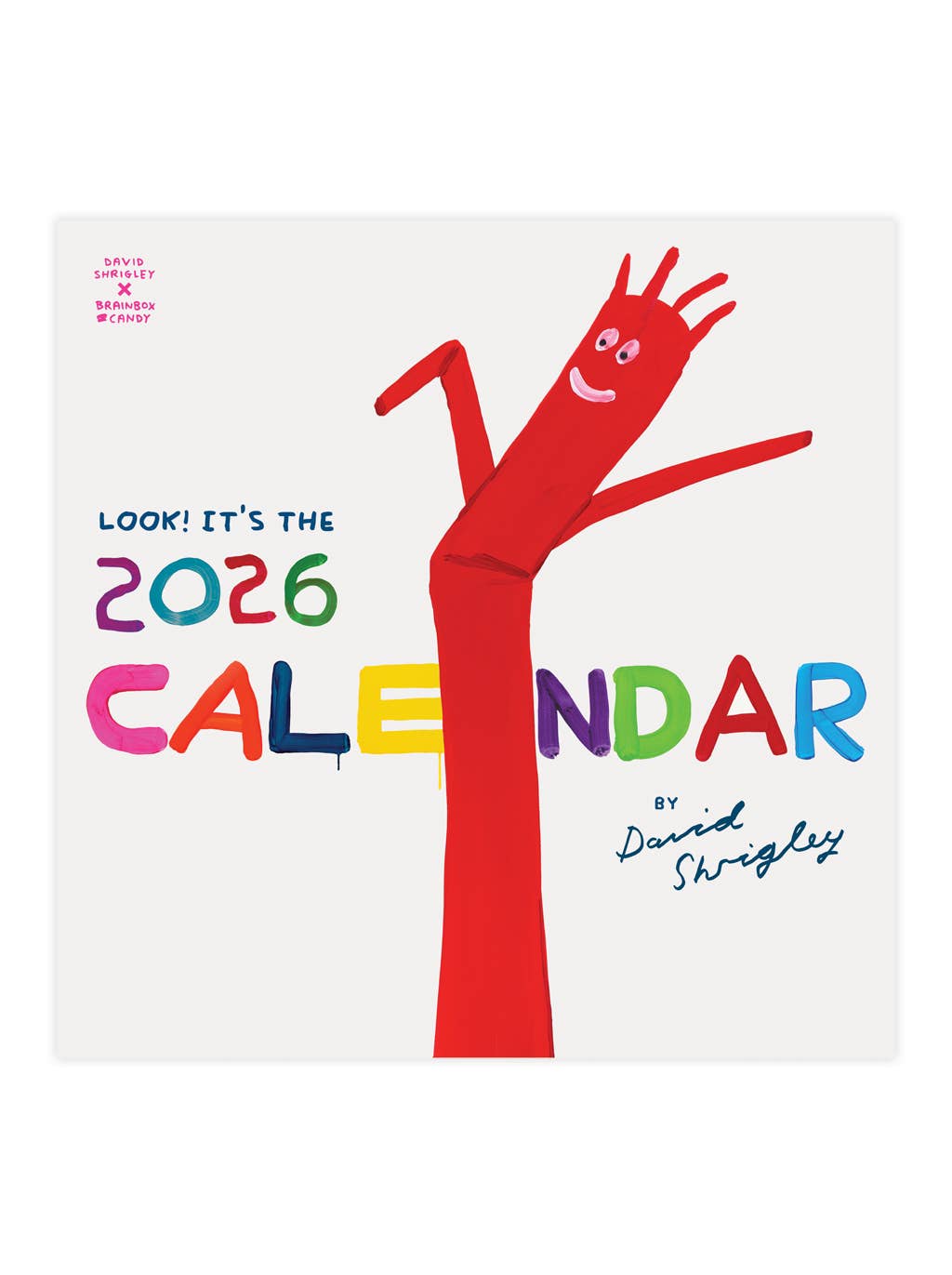David Shrigley Official 2026 Wall Calendar - David Shrigley x Brainbox Candy Modern Love Store Glasgow