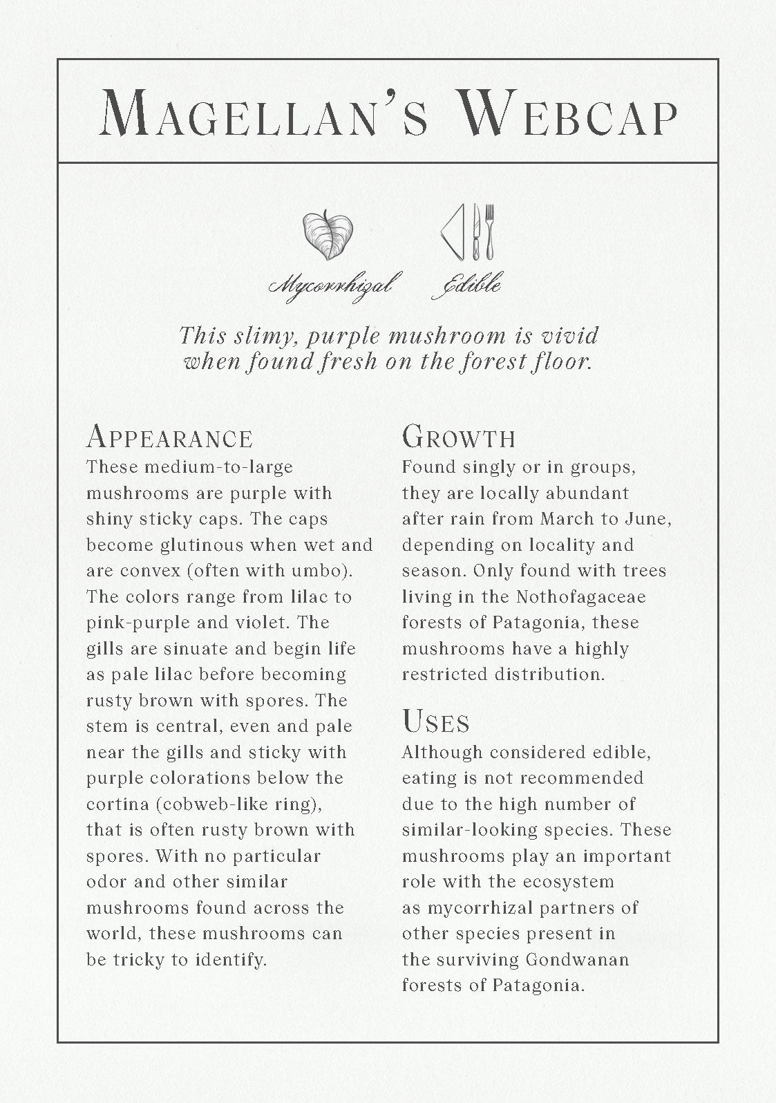 Deck of Mushrooms - An illustrated field guide to fascinating fungi - Books Thames & Hudson Modern Love Store Glasgow