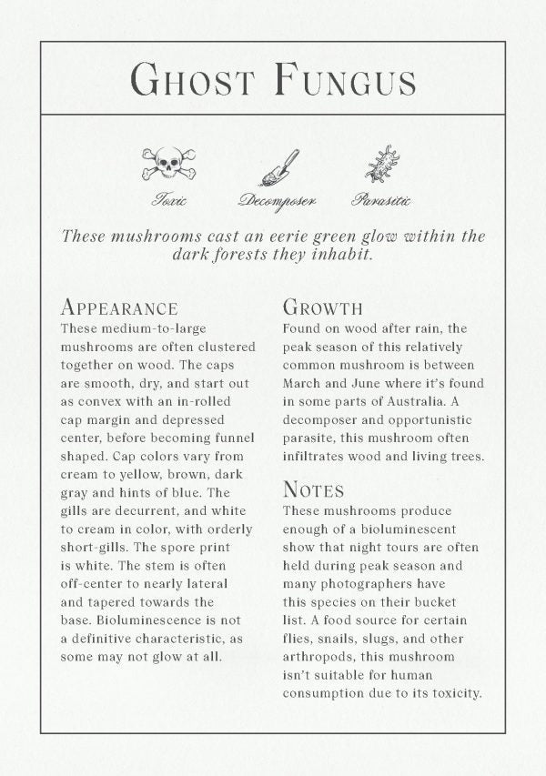 Deck of Mushrooms - An illustrated field guide to fascinating fungi - Books Thames & Hudson Modern Love Store Glasgow