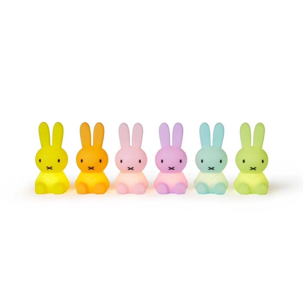 Miffy Colourful Surprise Blind Box - Lamp Mr Maria Modern Love Store