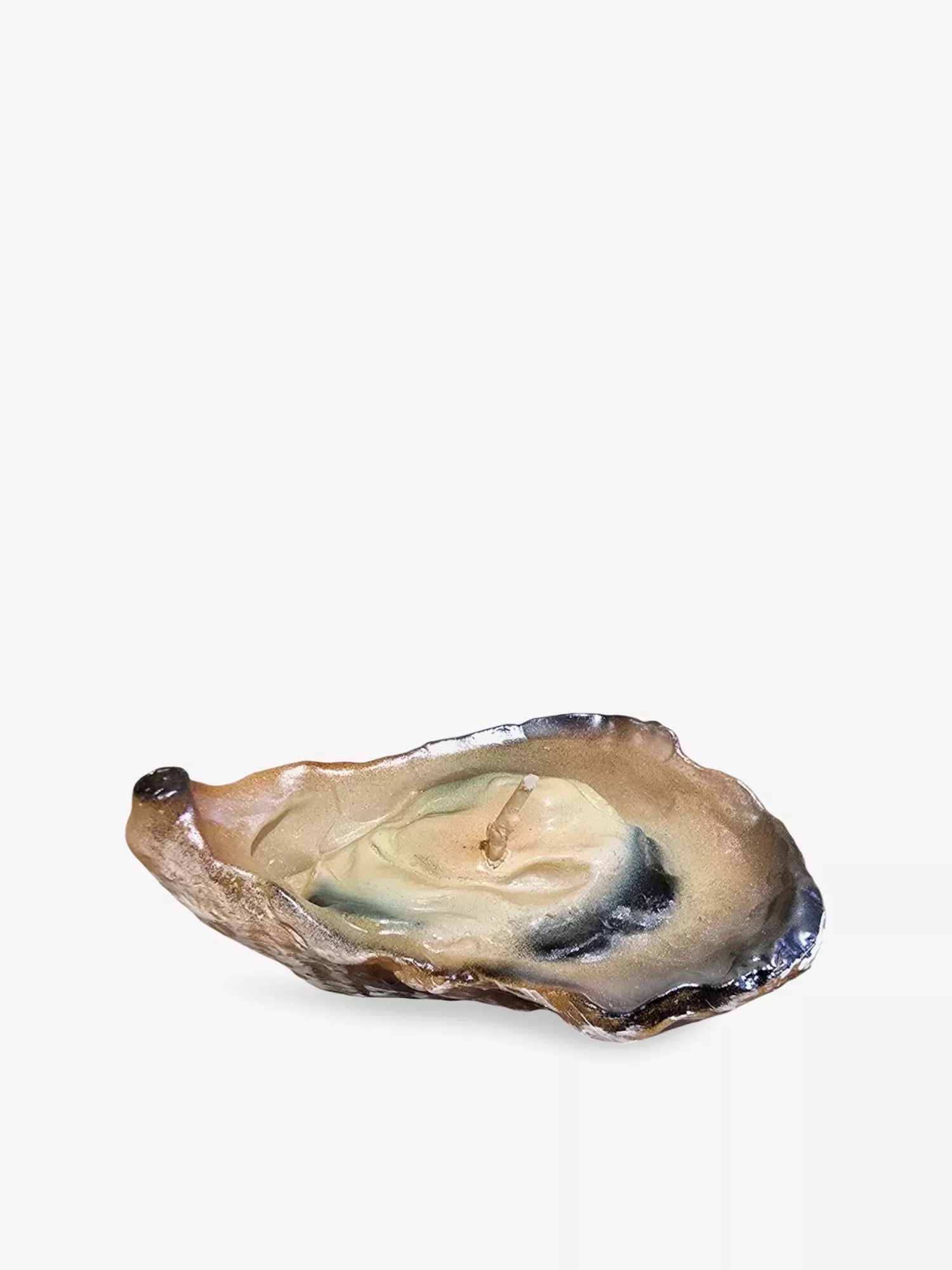 Oyster Candle candle 