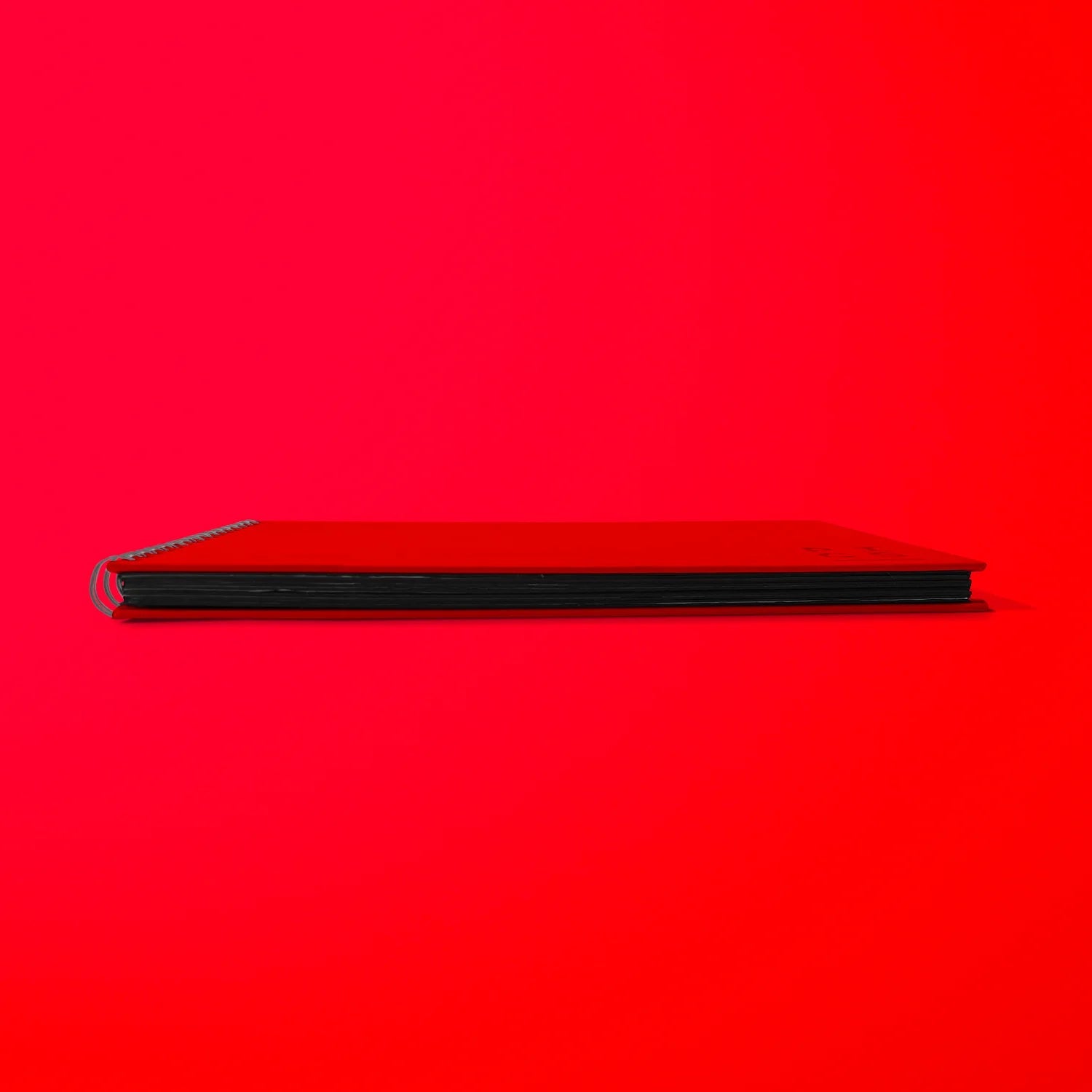 Blank Canvas Photo Album: Red photo - frame  Photo Album