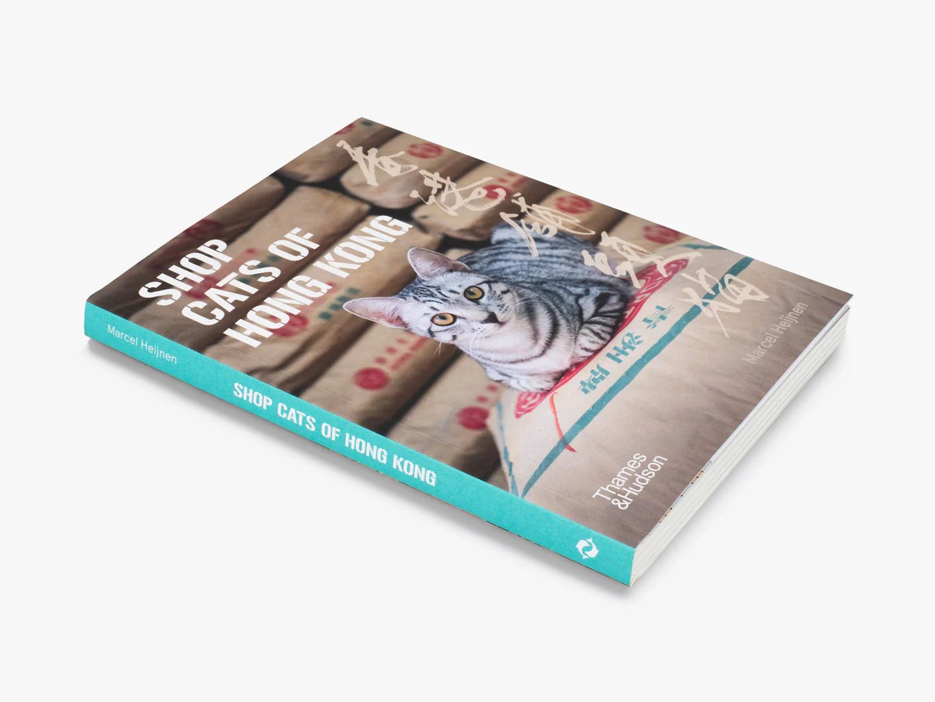 Shop Cats of Hong Kong - Books Thames & Hudson Modern Love Store Glasgow