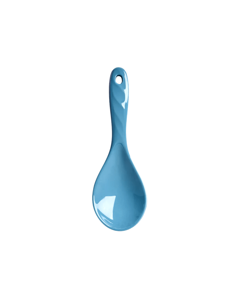 Salad Spoon - Blue kitchen  spoon