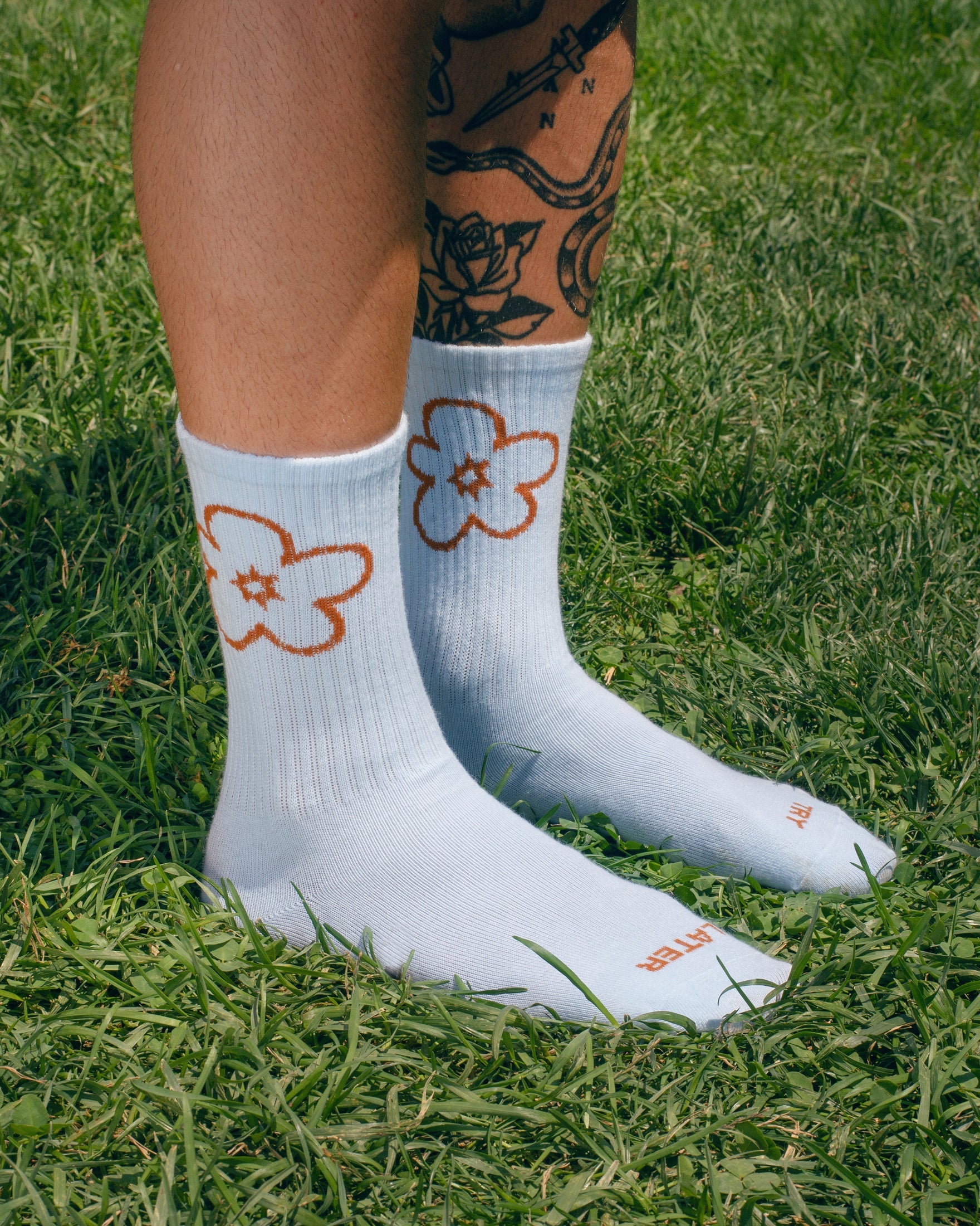 Tarta Gelatina Try Later socks with "Try Later" text print, front view