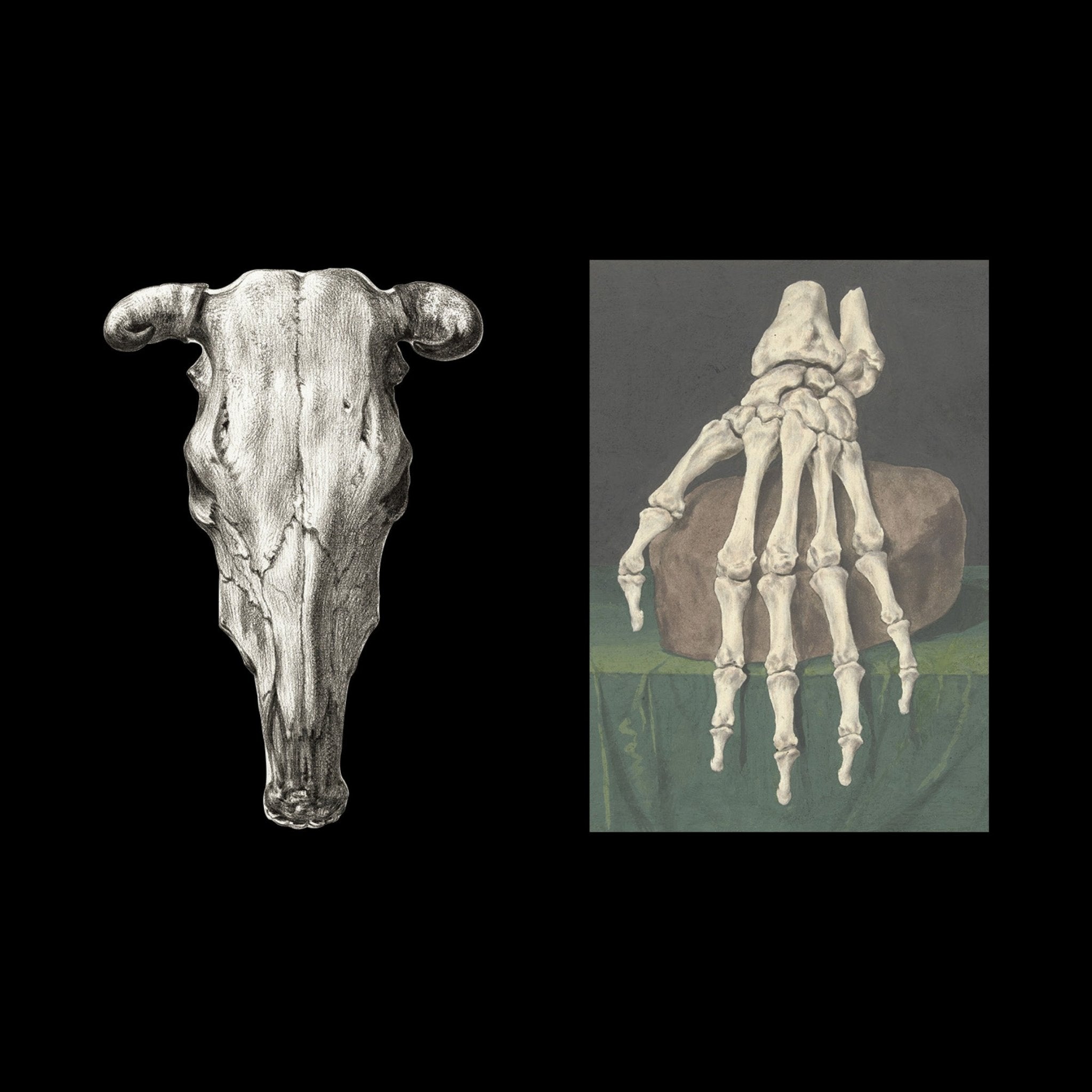 The Sticker Treasury of Ghosts & Dark Curiosities - Books Thames & Hudson Modern Love Store Glasgow