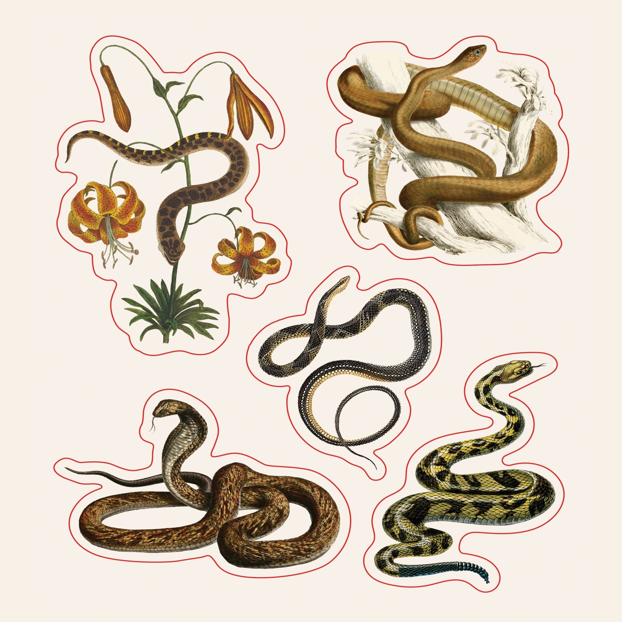 The Sticker Treasury of the Mystical and Esoteric - Books Thames & Hudson Modern Love Store Glasgow