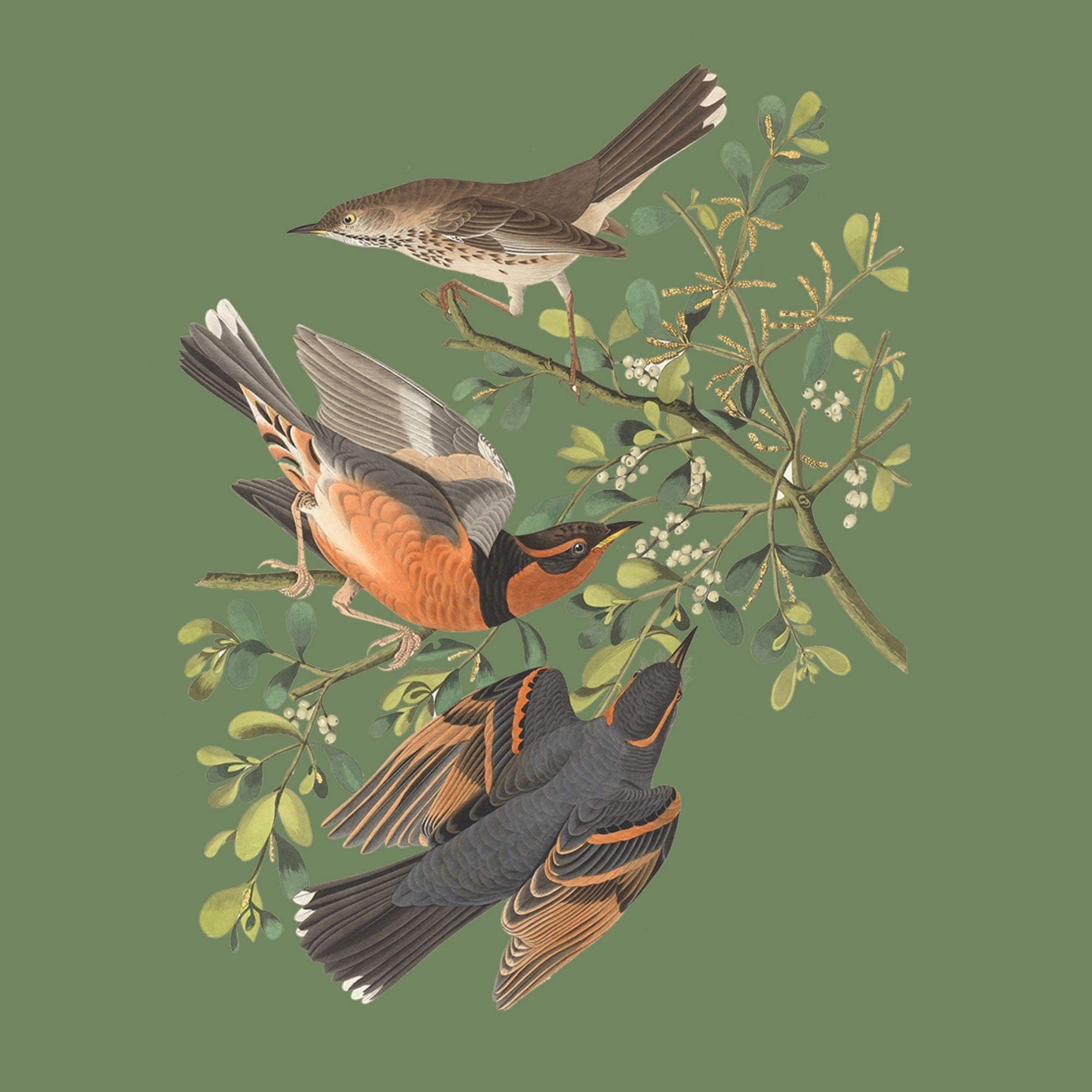 The Sticker Treasury of Woodland Adventures - Books Thames & Hudson Modern Love Store Glasgow