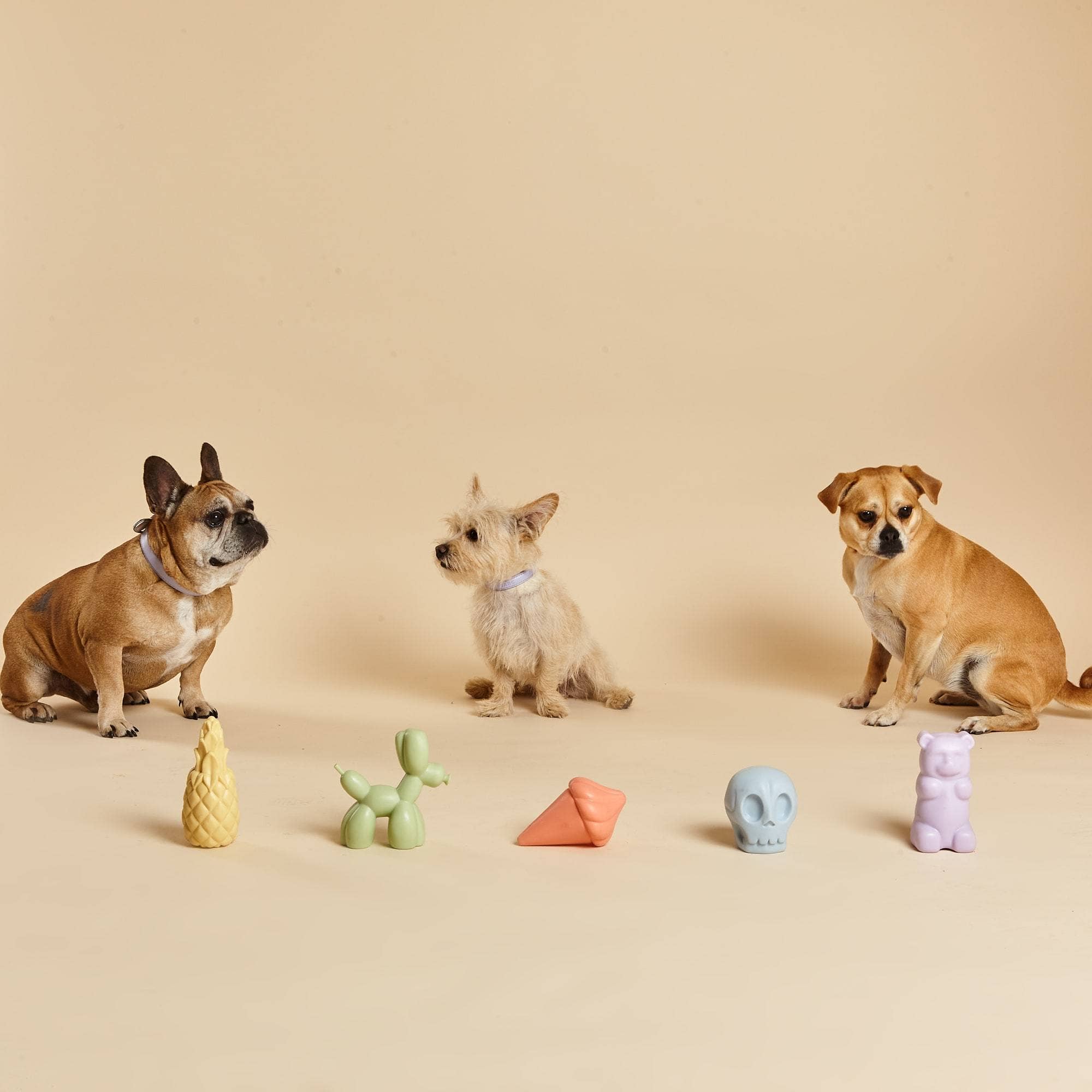 Whippy Squeaky Dog Toy - Barc London Modern Love Store Glasgow